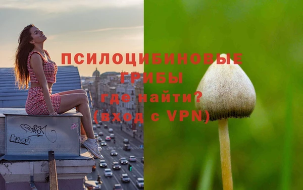 метадон Щучье