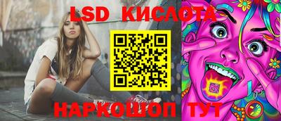 прущие крисы Бийск