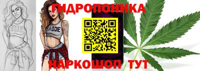 соль ск Ипатово