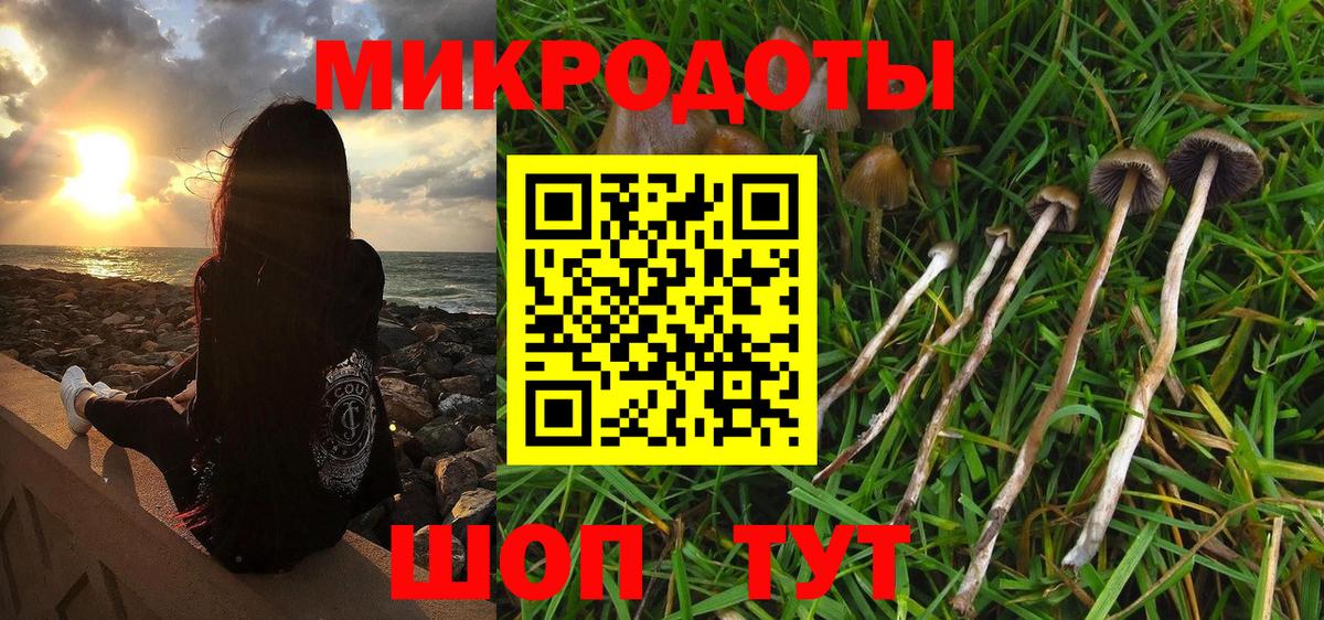 Псилоцибиновые грибы Magic Shrooms  Улан-Удэ  Галлюциногенные грибы Psilocybe 