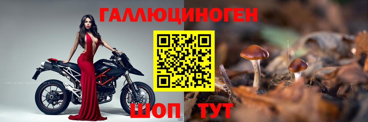 Псилоцибиновые грибы мухоморы Улан-Удэ